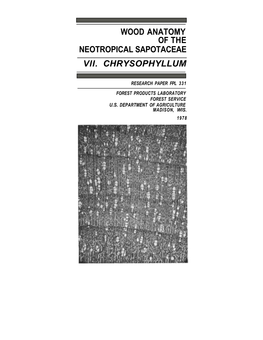 Wood Anatomy of Neotropical Sapotaceae VI Chloroluma