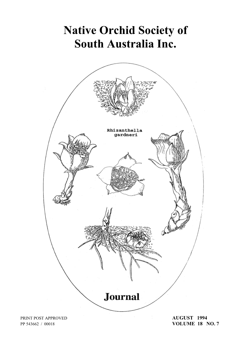 Native Orchid Society of South Australia Inc August 1994 Vol. 18. No. 7 Journal