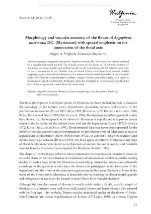 Morphology and Vascular Anatomy of the Flower of Angophora Intermedia