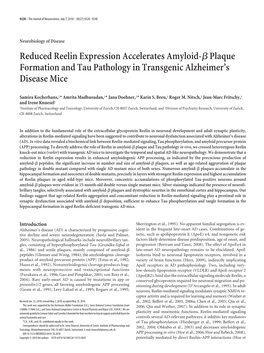 Reduced Reelin Expression Accelerates Amyloid-ßplaque