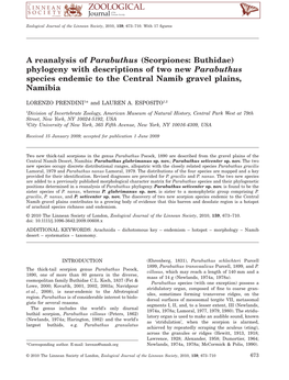 A Reanalysis of Parabuthus (Scorpiones: Buthidae) Phylogeny with Descriptions of Two New Parabuthus Species Endemic to the Central Namib Gravel Plains, Namibia