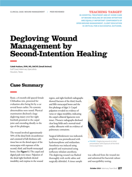 Degloving Wound Management by Second-Intention Healing