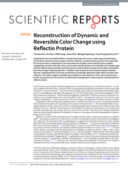 Reconstruction of Dynamic and Reversible Color Change Using