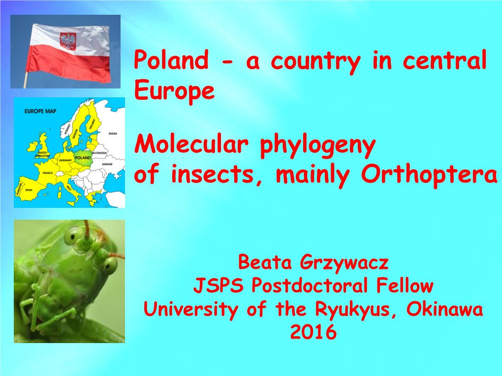 A Country in Central Europe Molecular Phylogeny of Insects, Mainly