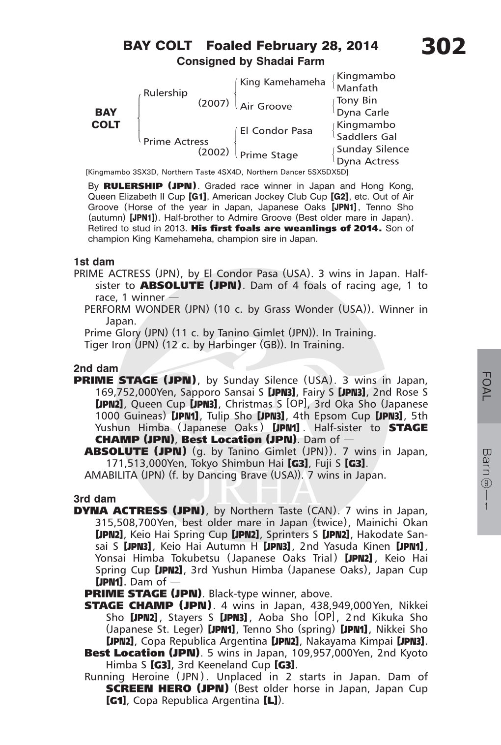 BAY COLT Foaled February 28, 2014