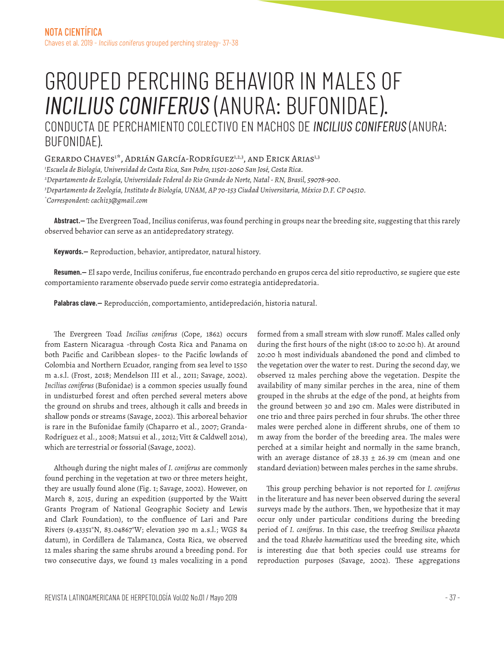 Incilius Coniferus Grouped Perching Strategy- 37-38 GROUPED PERCHING BEHAVIOR in MALES of INCILIUS CONIFERUS (ANURA: BUFONIDAE)