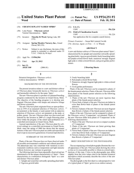 (12) United States Plant Patent (10) Patent No.: US PP24.251 P2 Wood (45) Date of Patent: Feb