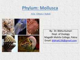 Phylum: Mollusca B.Sc I (Hons + Subsi)
