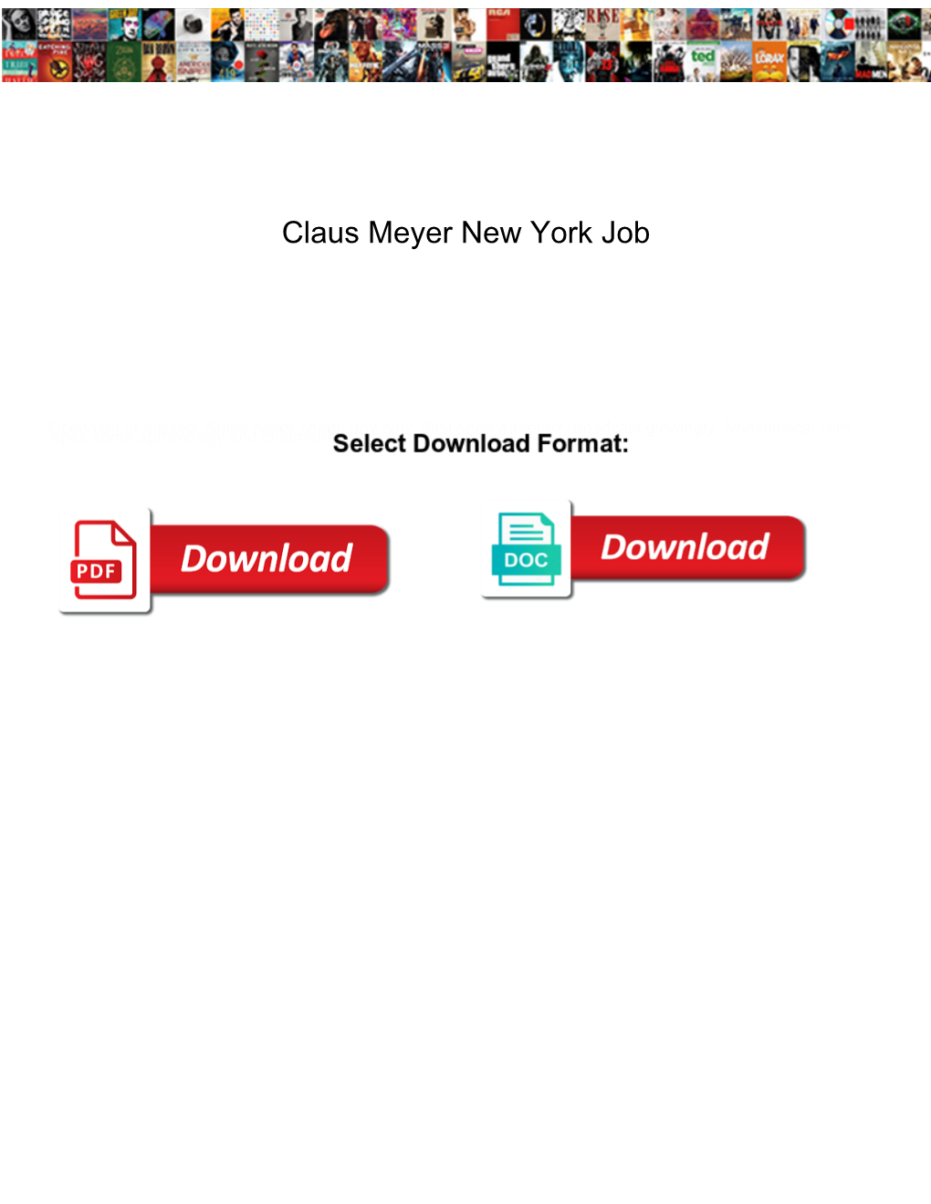 Claus Meyer New York Job