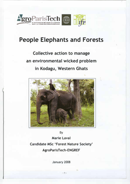 People Elephants and Forests