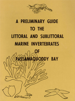 A Preliminary Guide to the Littoral and Sublittoral Marine Invertebrates Of