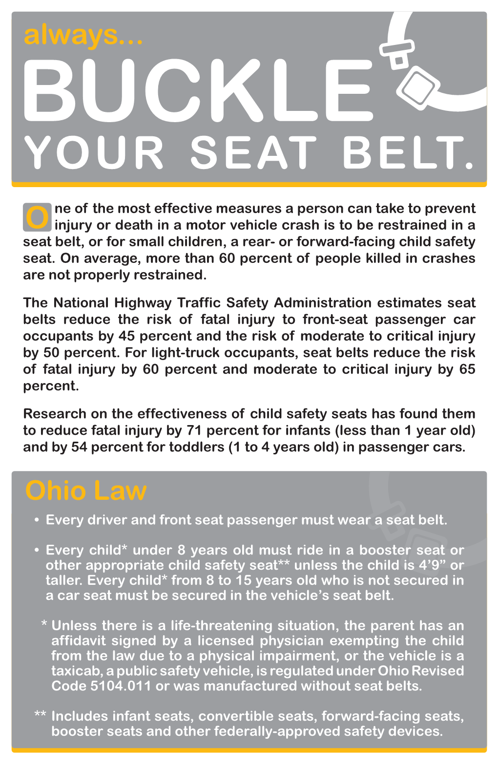 Your Seat Belt