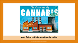 Your Guide to Understanding Cannabis