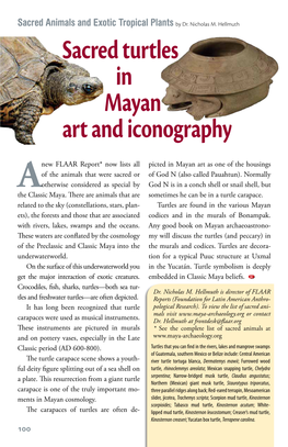 Sacred Turtles in Mayan Art and Iconography
