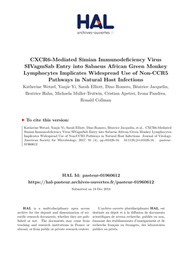 CXCR6-Mediated Simian Immunodeficiency Virus