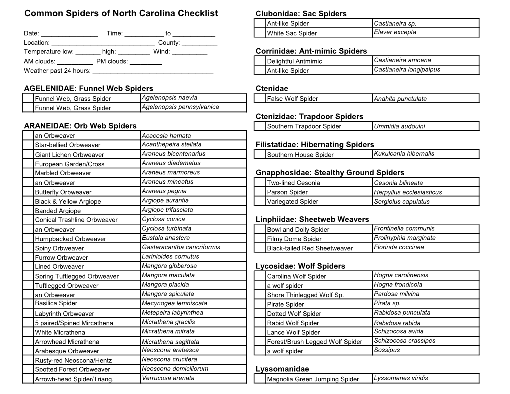 Common Spiders of North Carolina Checklist Clubonidae: Sac Spiders Ant-Like Spider Castianeira Sp