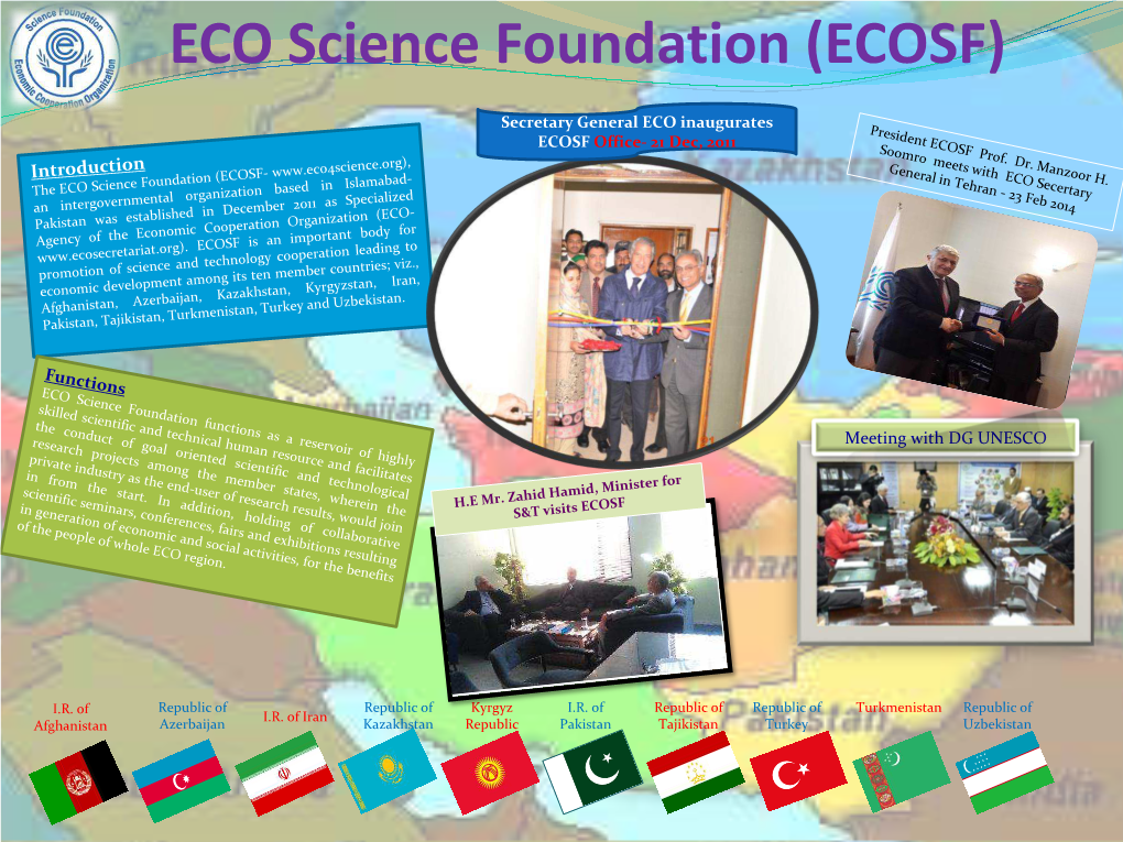 ECOSF Flyer.Pdf