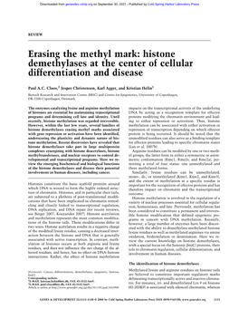 Histone Demethylases at the Center of Cellular Differentiation and Disease