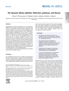 The Dynamic Biliary Epithelia: Molecules, Pathways, and Disease