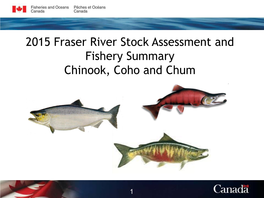 2003 Johnstone Strait Chum Fisheries