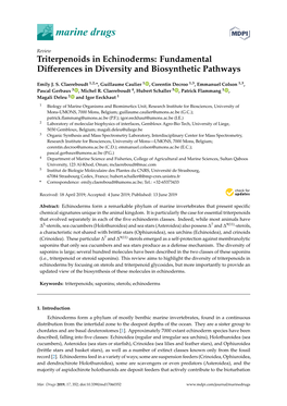 Fundamental Differences in Diversity and Biosynthetic Pathways