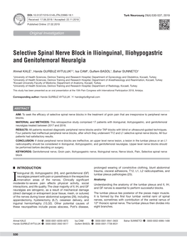 Selective Spinal Nerve Block in Ilioinguinal, Iliohypogastric and Genitofemoral Neuralgia