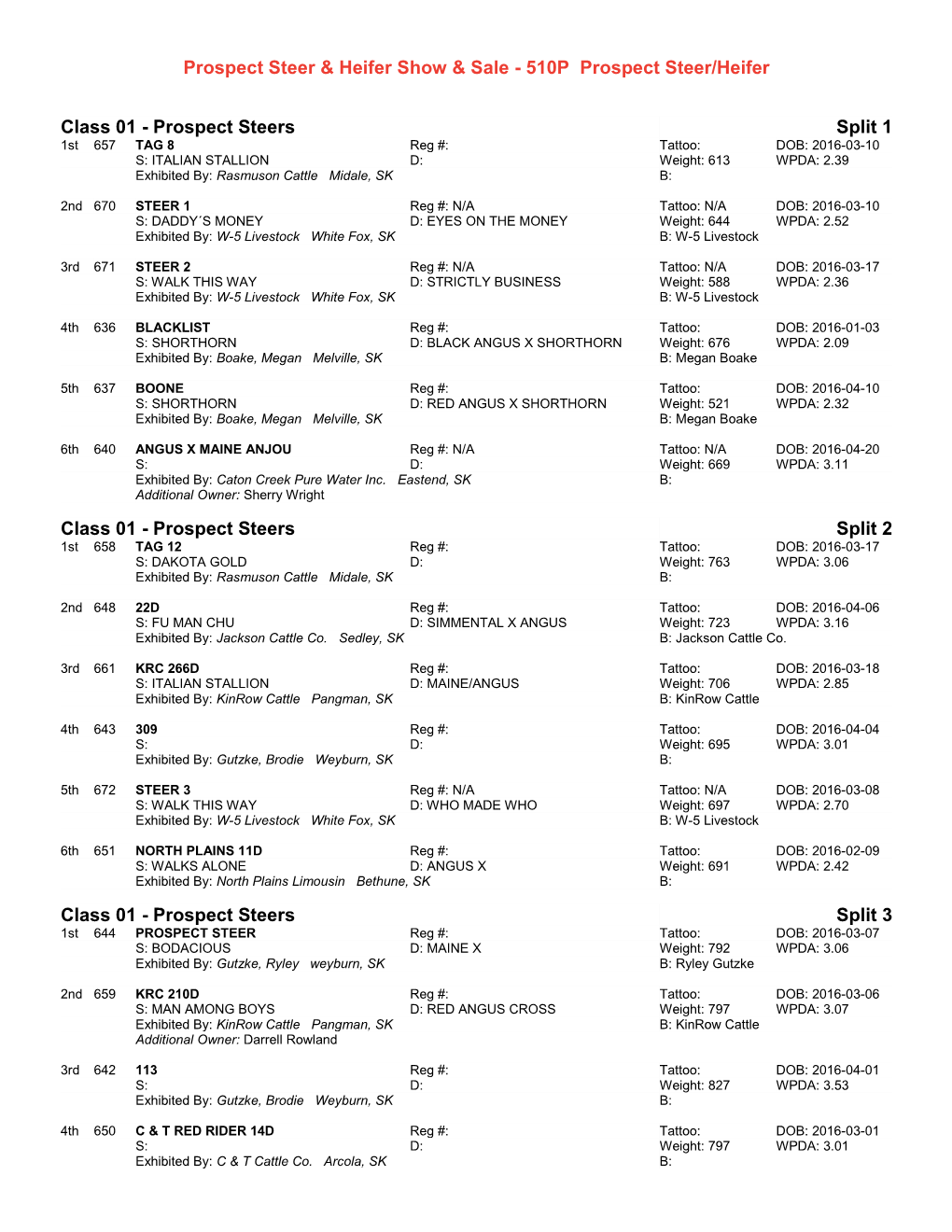 510P Prospect Steer/Heifer Class 01