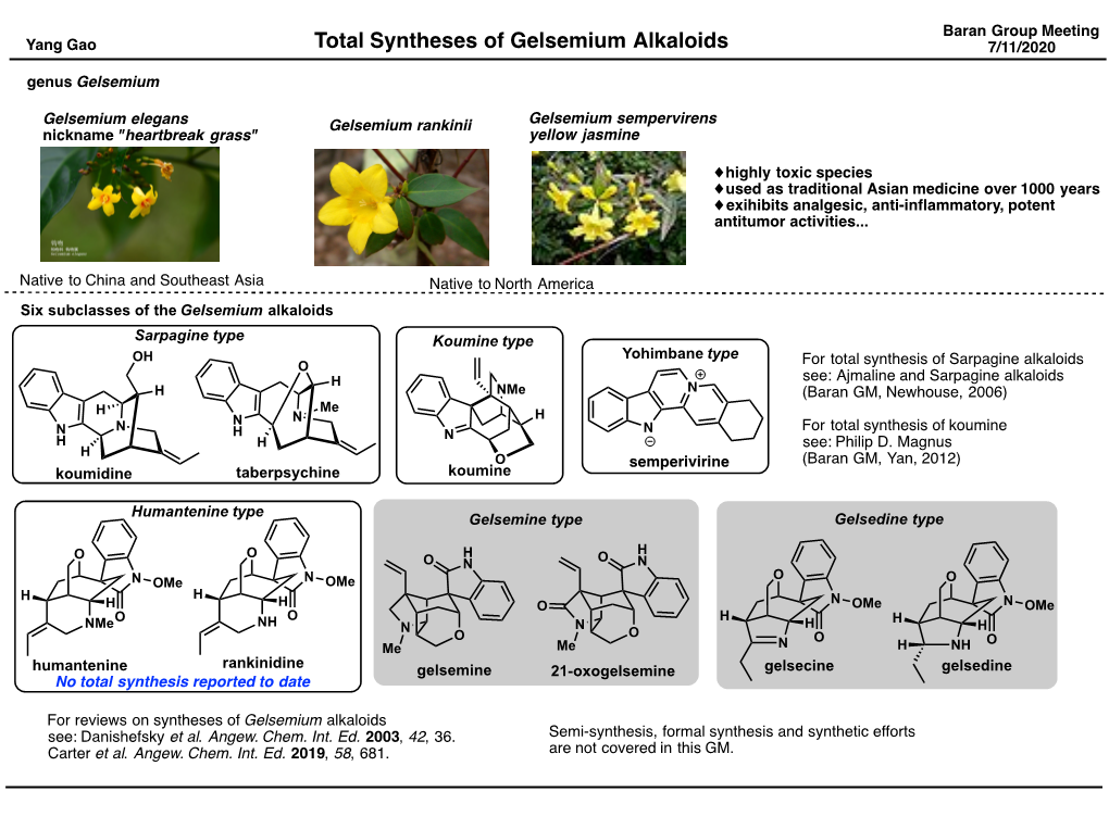 Total Synthesis of Gelsemium Alkaloids