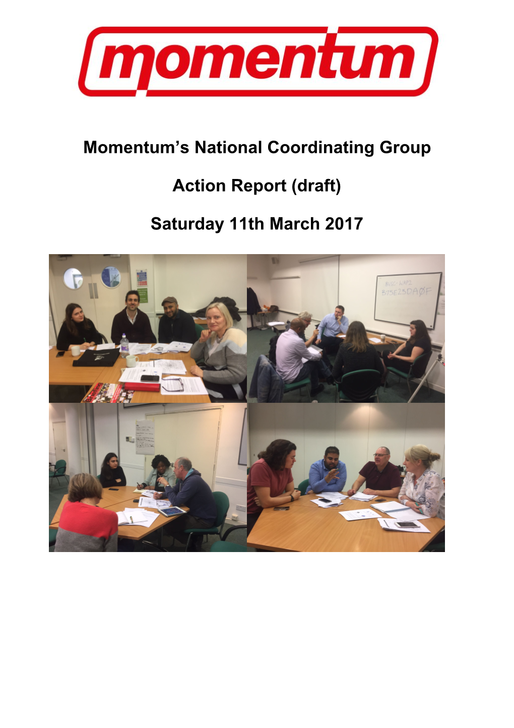 Momentum's National Coordinating Group Action Report (Draft)