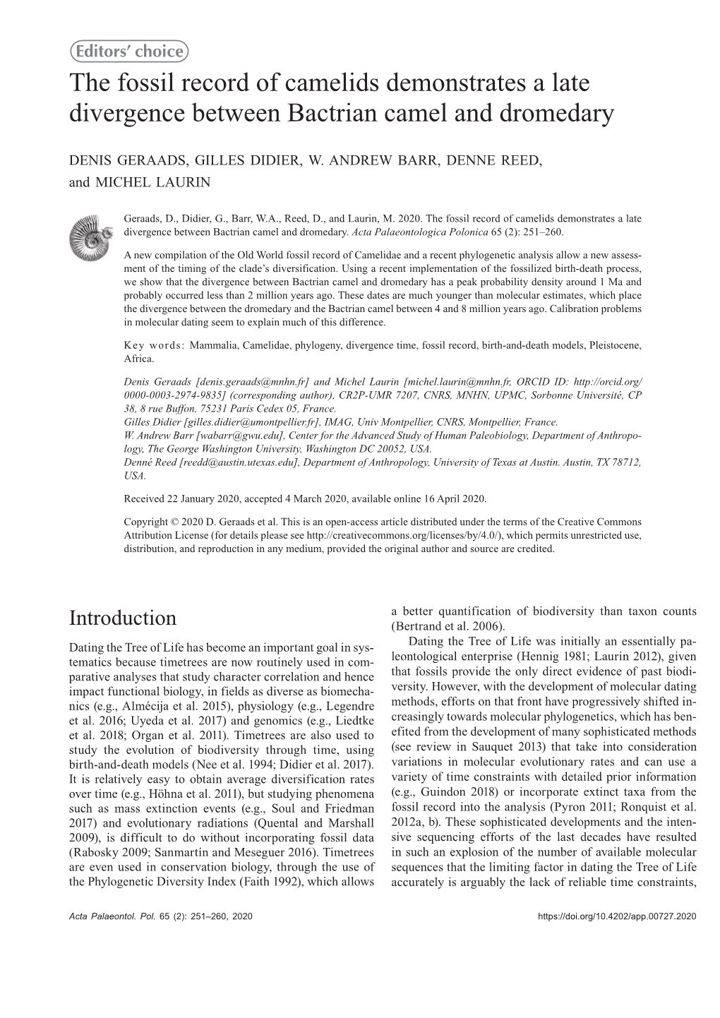 The Fossil Record of Camelids Demonstrates a Late Divergence Between Bactrian Camel and Dromedary