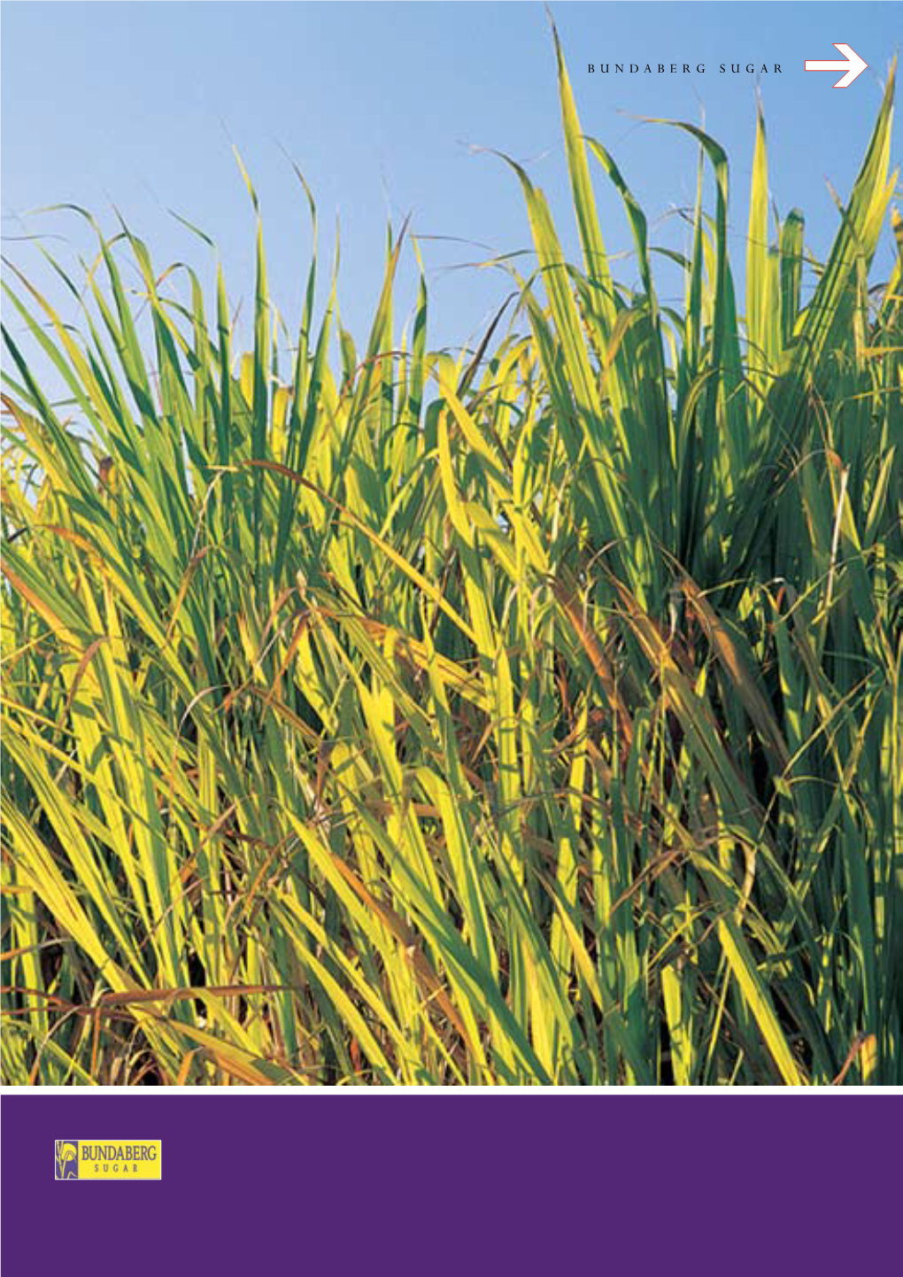 Bundaberg Sugar