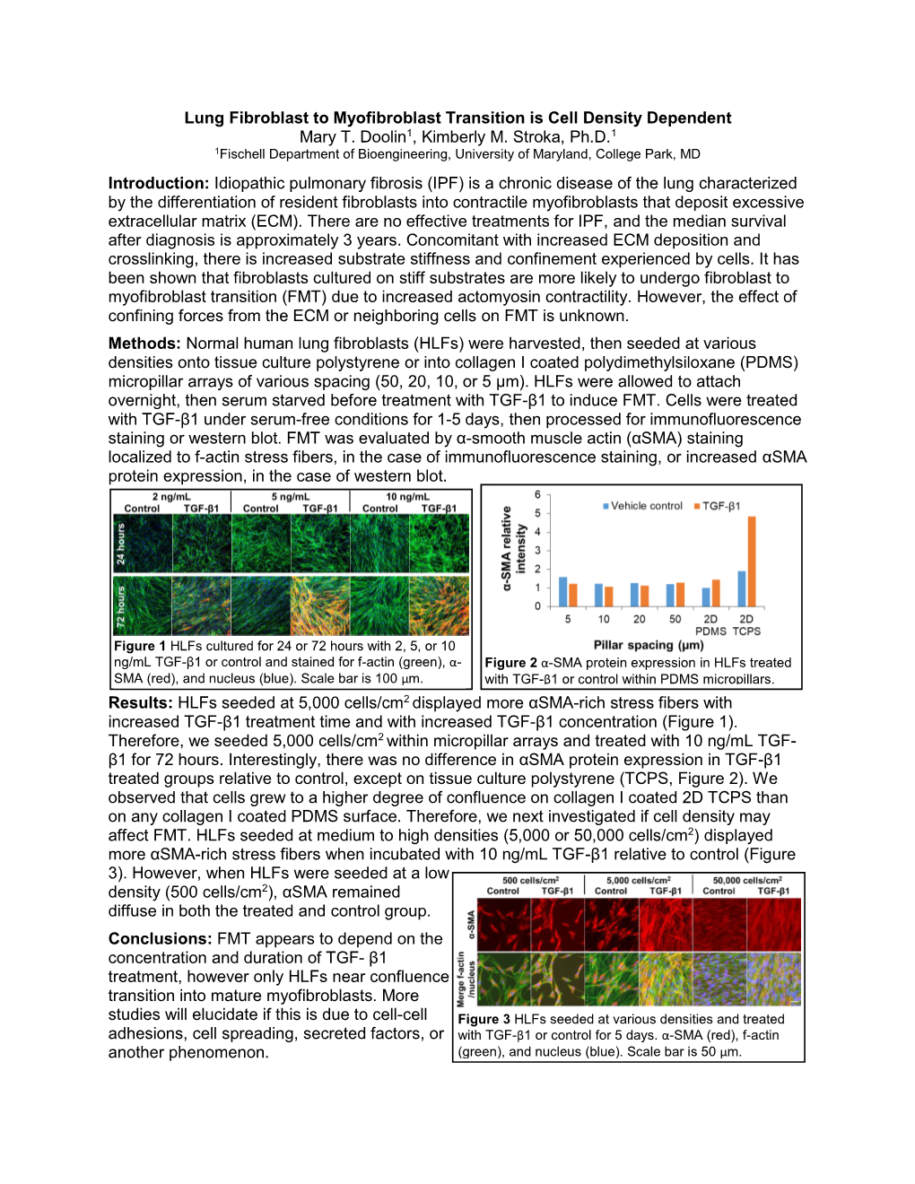 Lung Fibroblast to Myofibroblast Transition Is Cell Density Dependent Mary T