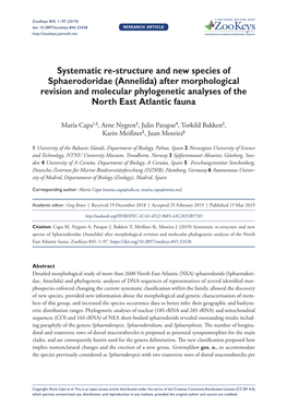 Systematic Re-Structure and New Species of Sphaerodoridae (Annelida) After Morphological Revision and Molecular Phylogenetic Analyses of the North East Atlantic Fauna