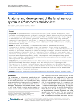 Anatomy and Development of the Larval Nervous System in Echinococcus Multilocularis Uriel Koziol1,3, Georg Krohne2 and Klaus Brehm1*