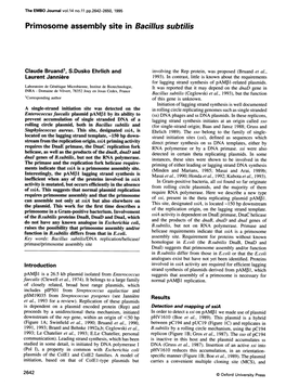 Primosome Assembly Site in Bacillus Subtilis