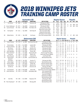 2018 Winnipeg Jets Training Camp Roster
