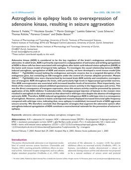 Astrogliosis in Epilepsy Leads to Overexpression of Adenosine Kinase, Resulting in Seizure Aggravation