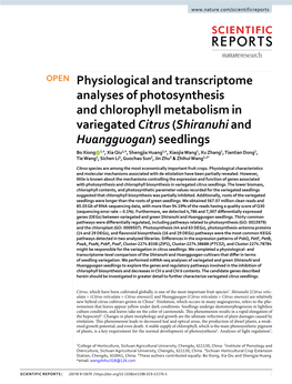 Physiological and Transcriptome Analyses of Photosynthesis