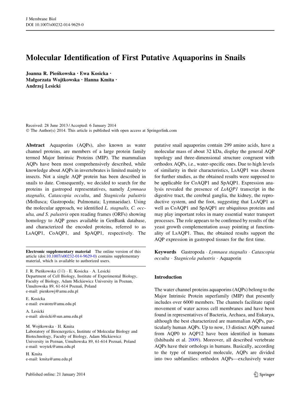 Molecular Identification of First Putative