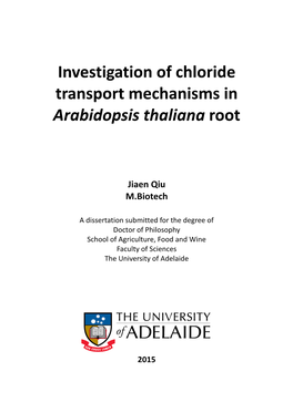 Investigation of Chloride Transport Mechanisms in Arabidopsis Thaliana Root