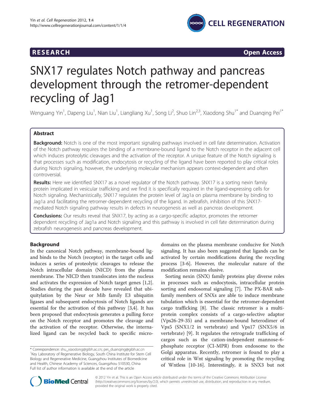 SNX17 Regulates Notch Pathway and Pancreas