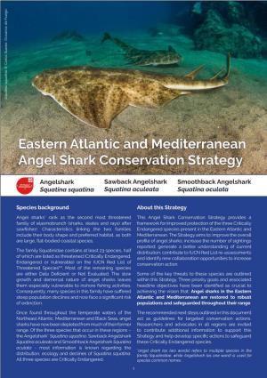 Eastern Atlantic and Mediterranean Angel Shark Conservation Strategy