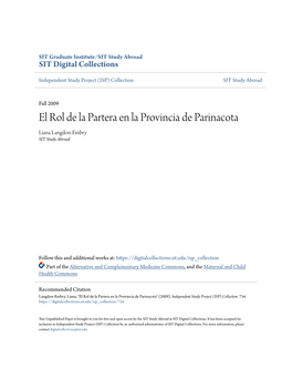 El Rol De La Partera En La Provincia De Parinacota Liana Langdon-Embry SIT Study Abroad
