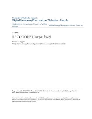 RACCOONS (Procyon Lotor) Edward K