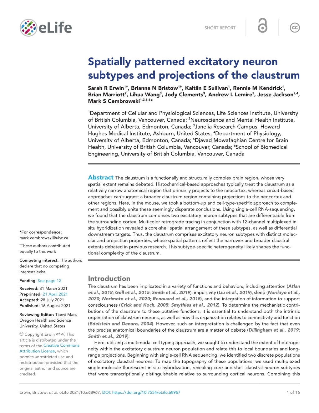 Spatially Patterned Excitatory Neuron Subtypes And Projections Of The ...