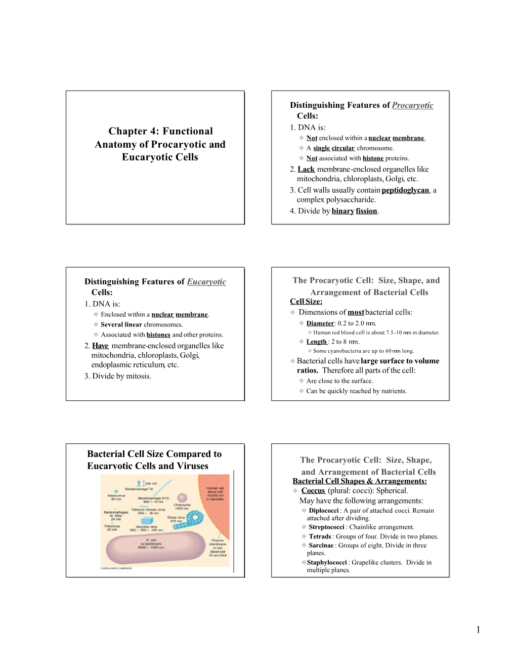 Chapter 4: Functional Anatomy Of Procaryotic And Eucaryotic Cells - DocsLib