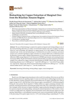 Bioleaching for Copper Extraction of Marginal Ores from the Brazilian Amazon Region