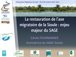 La Restauration De L'axe Migratoire De La Sioule : Enjeu