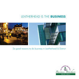 Leatherhead Is the Business