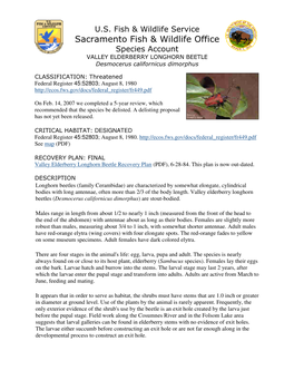 Species Account VALLEY ELDERBERRY LONGHORN BEETLE Desmocerus Californicus Dimorphus